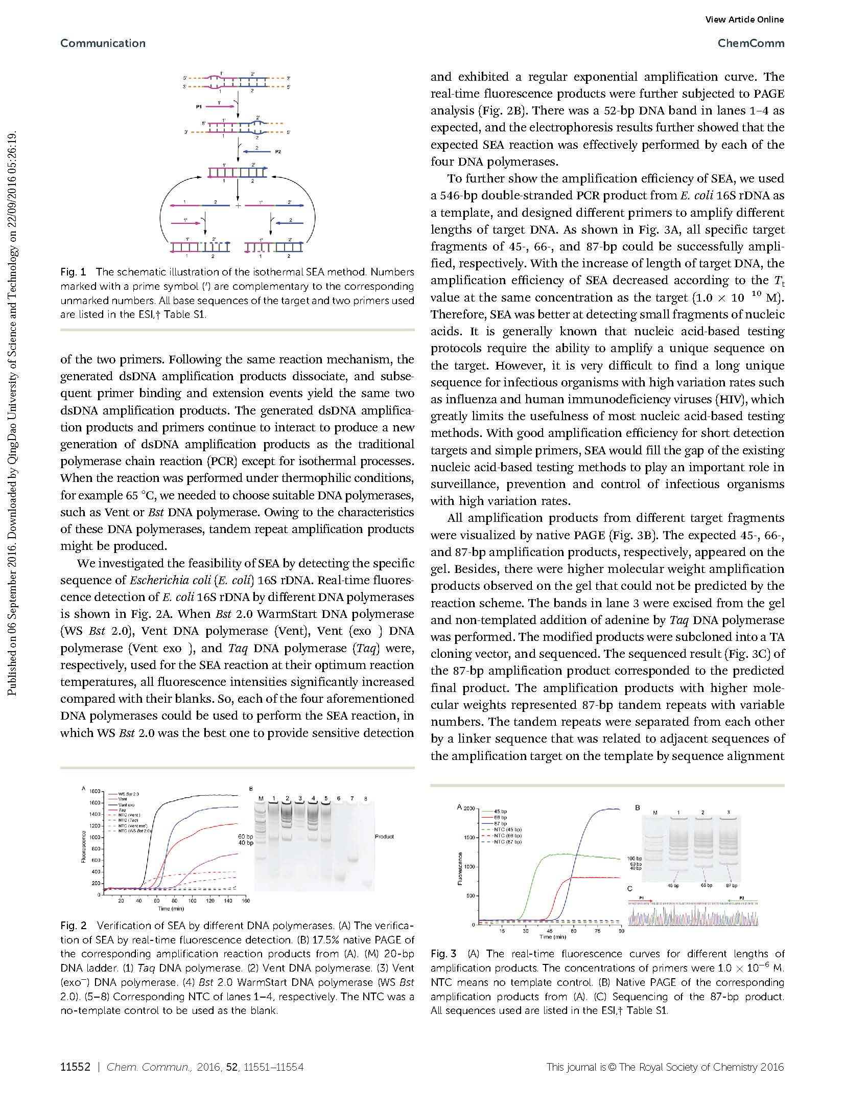 Triggered isothermal PCR by denaturation bubble-mediated strand exchange_页面_2